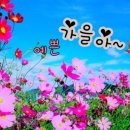 바다엔커피
