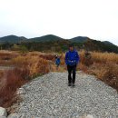 세포삼거리 이미지