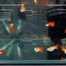 금메달마트 - 동구 밤실로 147 | 금메달마트