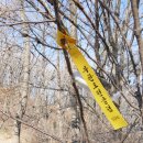 한북정맥 큰넋고개~작은넋고개~죽엽산~비득재~노고산~다름고개~축석령 종주 이미지