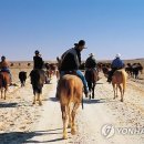 김기성 농장 이미지