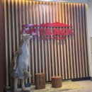 삼전 솔하임 | [아웃백 구파발점 런치 후기] 오후4시까지 착석! 런치할인,주차,+할인 팁정리