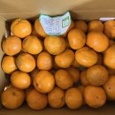 대규농장 이미지