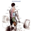 척추운동공간 이미지