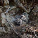 서산농장 이미지