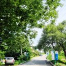 서종작은도서관 | [양평여행] 황순원문학촌 양평 소나기마을 아이랑 함께 추억만들기 (ft.소나기체험)
