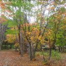 방동분교 이미지