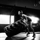 크라운짐 이미지