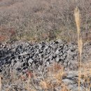 바위목장 이미지