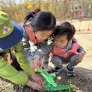 🌸대현산 장미원 숲체험🌸 이미지