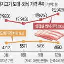 사이노부경대지점 이미지