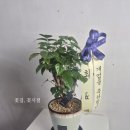 서강당구장 이미지