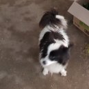 산척가든 이미지