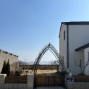 달에게 빌려온 하루 이미지