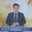 며느릿감 찾기 // 말씀:홍석재 담임목사 2023.10.29일 대예배 이미지