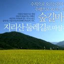 동강1박2일민박 이미지