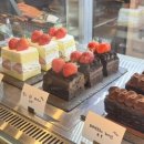 PNP (피앤피) 이미지