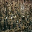 진리농장 이미지