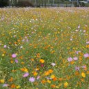 북천 공중화장실 이미지