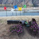 적벽강가든 이미지