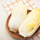 땅끝마을농장 이미지