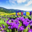 지세포해안로 이미지