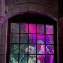 도토리 게임월드 이미지