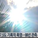 제주8월14일 이미지