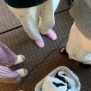 HOTEL 조이 이미지