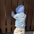 자유의집 | 롯데월드 부산 자유이용권 할인받고 아기랑 다녀온 후기