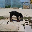 들길농장 이미지