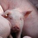 남기농장 이미지