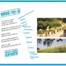 평화로(1) 이미지