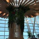 버스정류장 07-165 | 인천-칭다오 산동항공 탑승 후기 / 청도 공항에서 didi 디디 택시타는 법 / 칭다오 공항 저녁 면세점