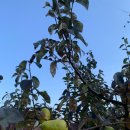 명산가든 이미지