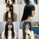 젤라헤어 이미지