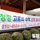 일미농원 네이버블로그