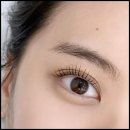 니어앤디어 이미지