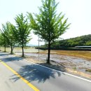 충주주덕공인중개사사무소 이미지