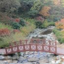 해오름길 이미지