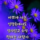 우리 인생의 마지막 풍경 이미지