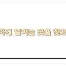 서광법무사사무소
