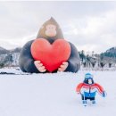 [시즌한정] 울릉크루즈 원데이 눈꽃여행 이미지