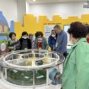 부평 굴포누리 기후변화체험관 이미지