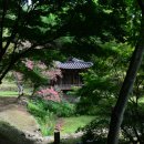 담양오방길5코스(누정길) 이미지