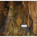 경북 울진 불영사,백암온천, 성류굴.. 이미지