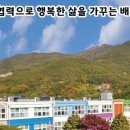 토지초등학교 이미지