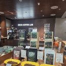 여백 프리오픈(가오픈) 신상 카페 아이스핸드드립☕️ 무이커피랩 MOOI COFFEE LAB 브루어리 느낌