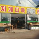 무지개다육이 이미지