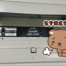 광성전기조명 네이버블로그
